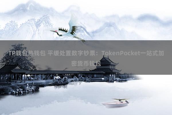 TP钱包热钱包 平缓处置数字钞票：TokenPocket一站式加密货币钱包