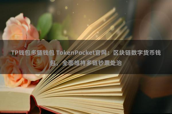 TP钱包多链钱包 TokenPocket官网：区块链数字货币钱包，全面维持多链钞票处治