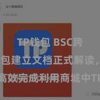 TP钱包 BSC跨链 TP钱包建立文档正式解读，助您高效完成利用商城中TP钱包的集成与建立。